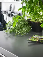 Blat roboczy w garażu z kolekcji Garage+ System Elfa